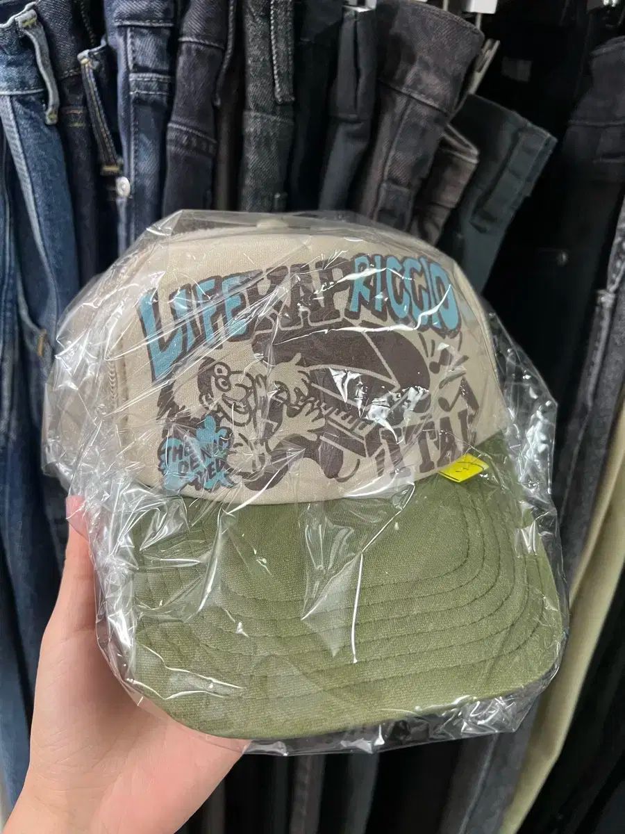 大平小州筆　不老冨貴之圖　絹本肉筆　小州道人自題共箱　南画250804 大平小州筆 不老冨貴之圖 絹本肉筆 小州道人自題共箱 南画250804