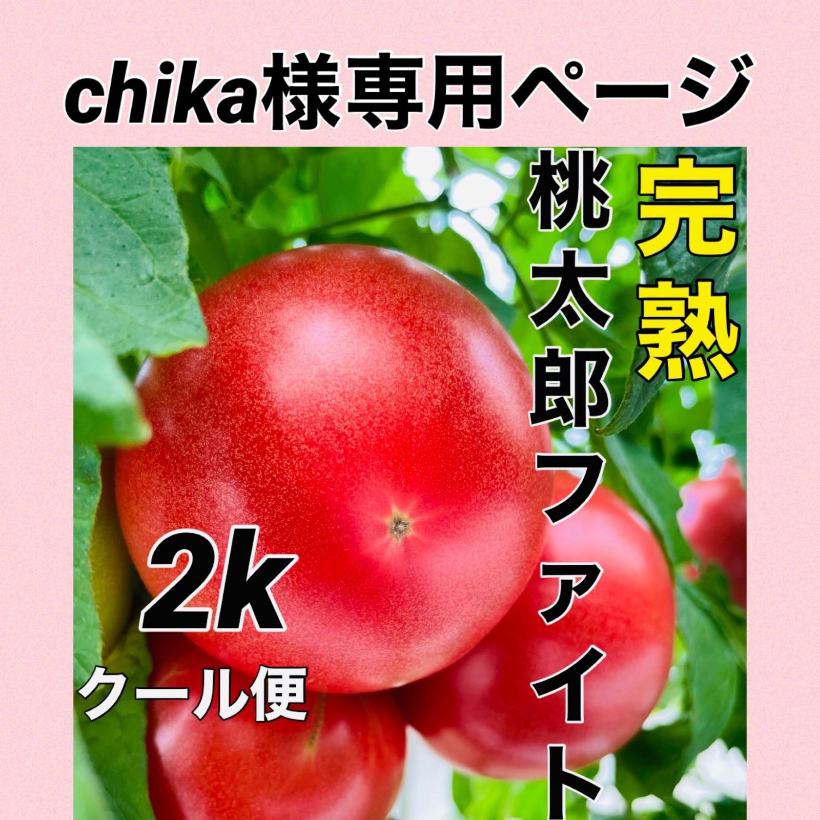 chika様専用ページ - 丹波のトマト屋さん - メルカリ