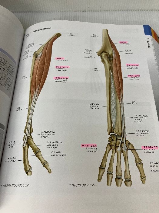 さく⭐︎病気がみえる vol.2 プロメテウス解剖学コアアトラス プロメテウス解剖学 コア アトラス』｜感想・レビュー - 読書
