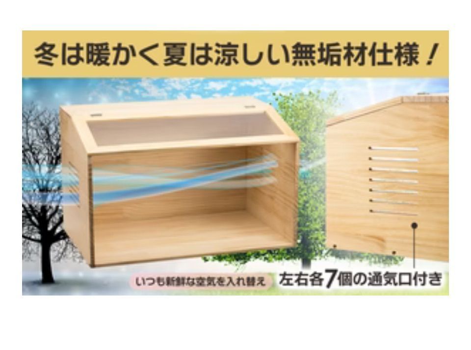 ハムスター