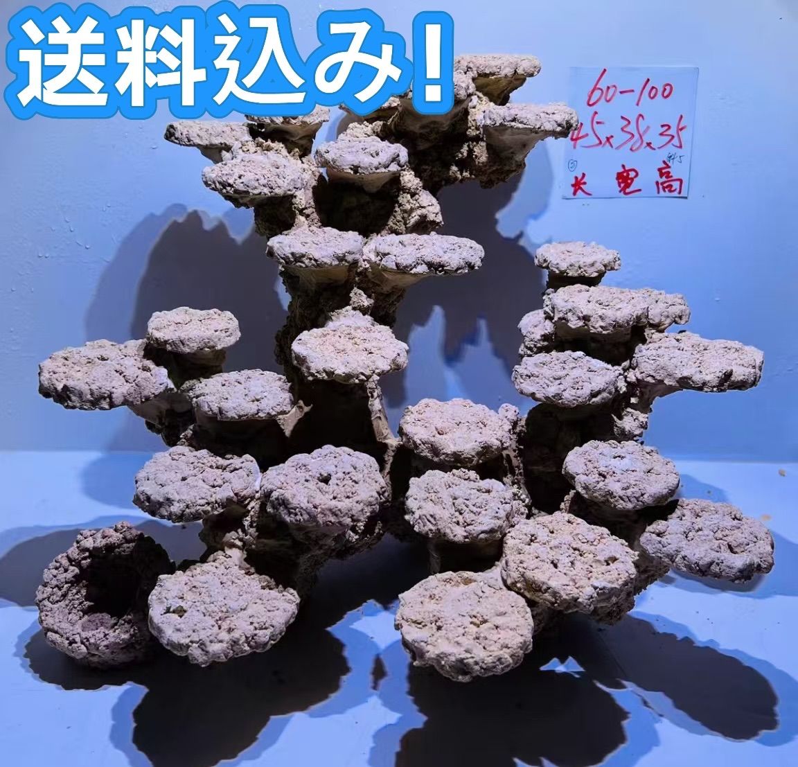 人工ライブロック | 海水魚専門店 セポのつぶやき・・・