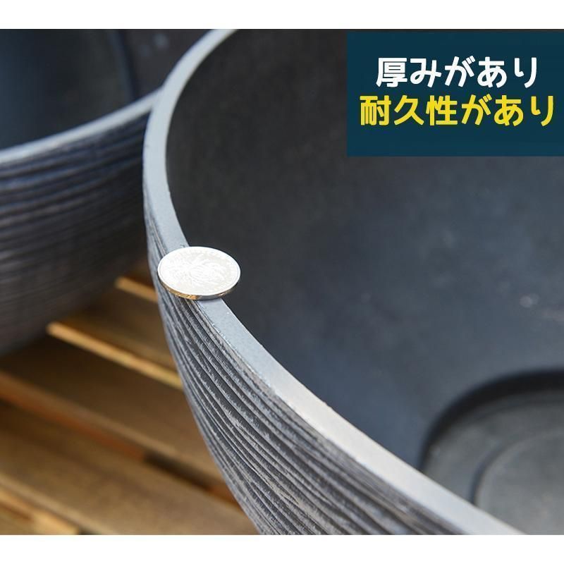 鉢