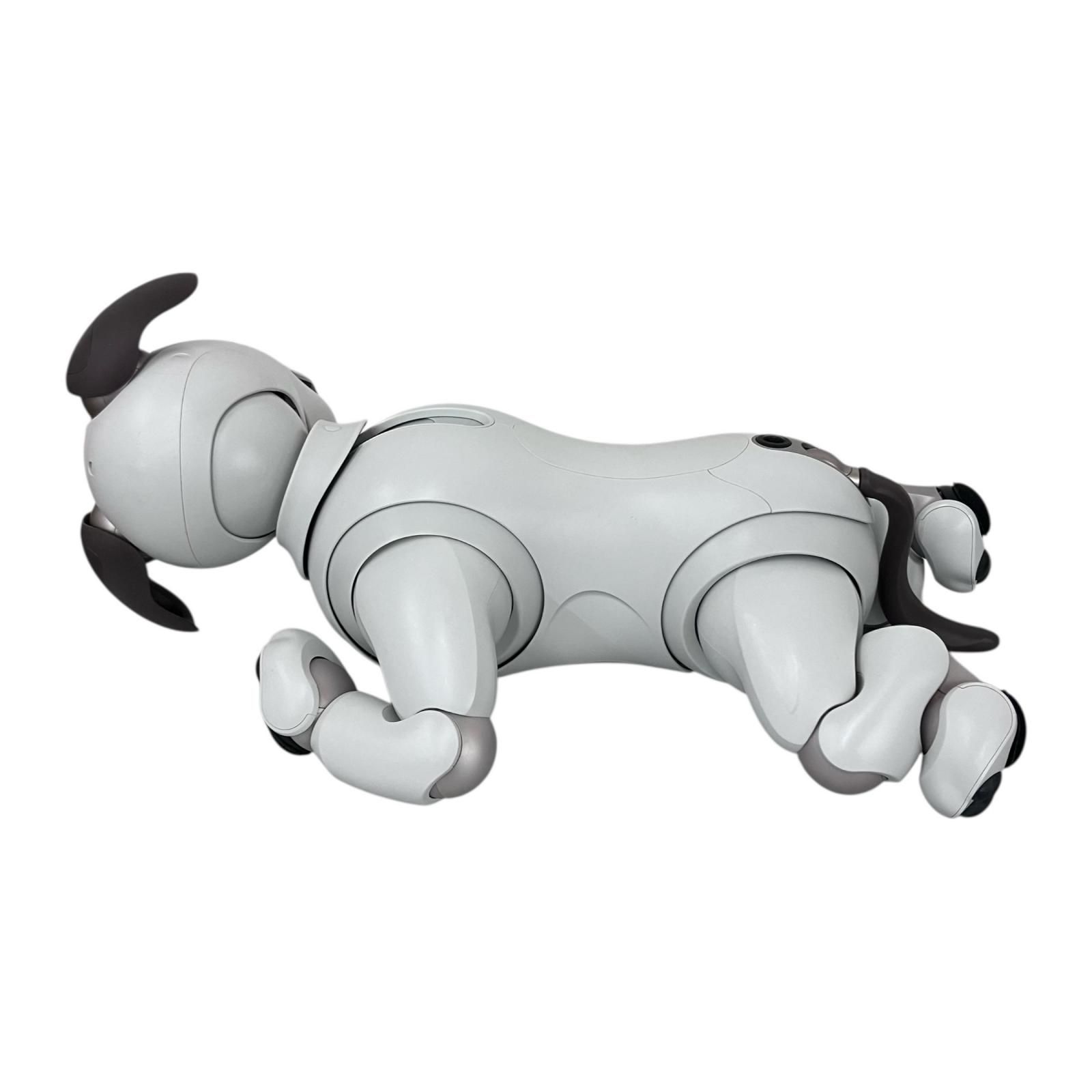 AIBO アイボ