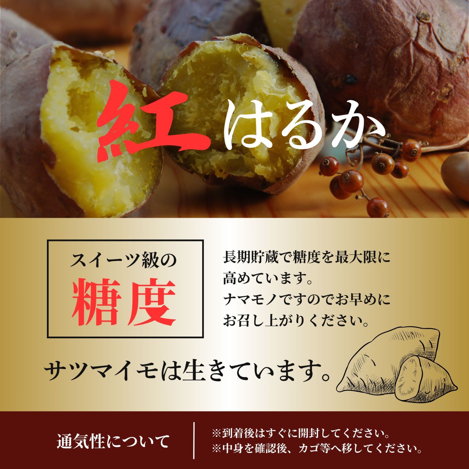 【本場】鹿児島県産 紅はるか 訳あり 10kg さつまいも シルクスイート好きに