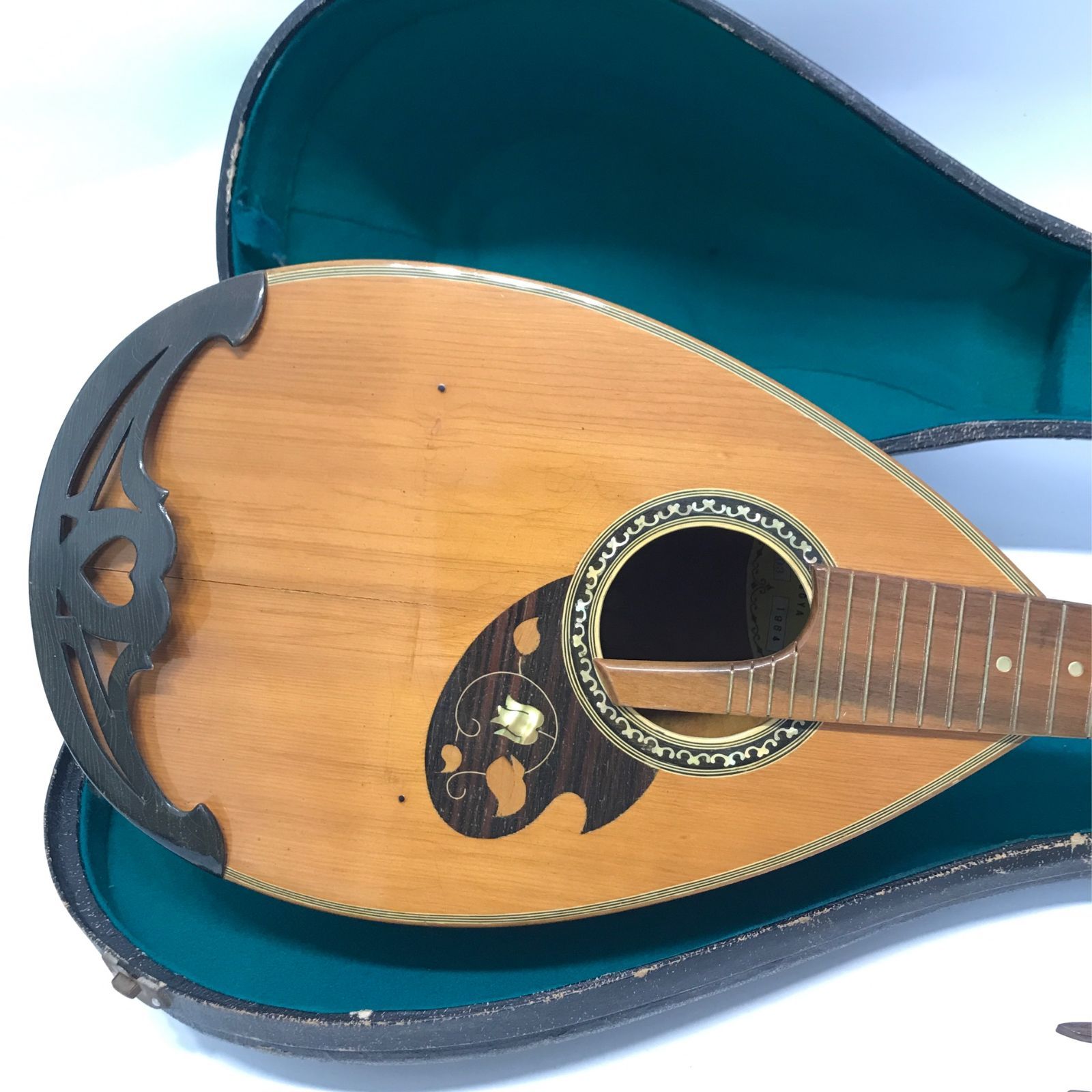 ジャンクマンドリンセット 希少】BlueBell フラットマンドリン F-16