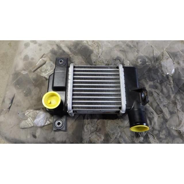 デイズルークス DBA-B21A インタークーラー