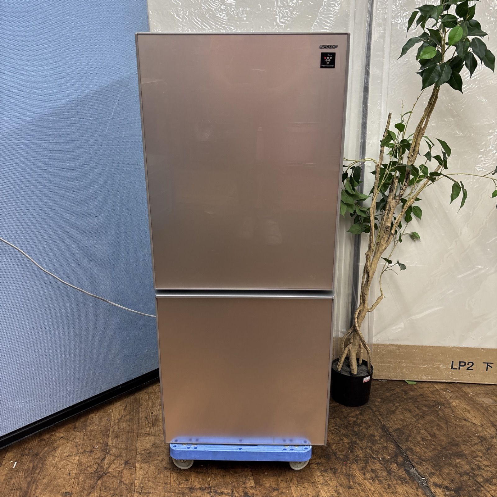 I671 名古屋市近郊配送設置無料 プラズマクラスター搭載 SHARP 冷蔵庫 137L 動作 済 クリーニング済