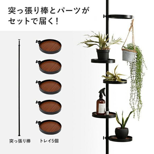 突っ張り棒＆パーツ 6点セット 収納家具 本棚・ラック・カラー