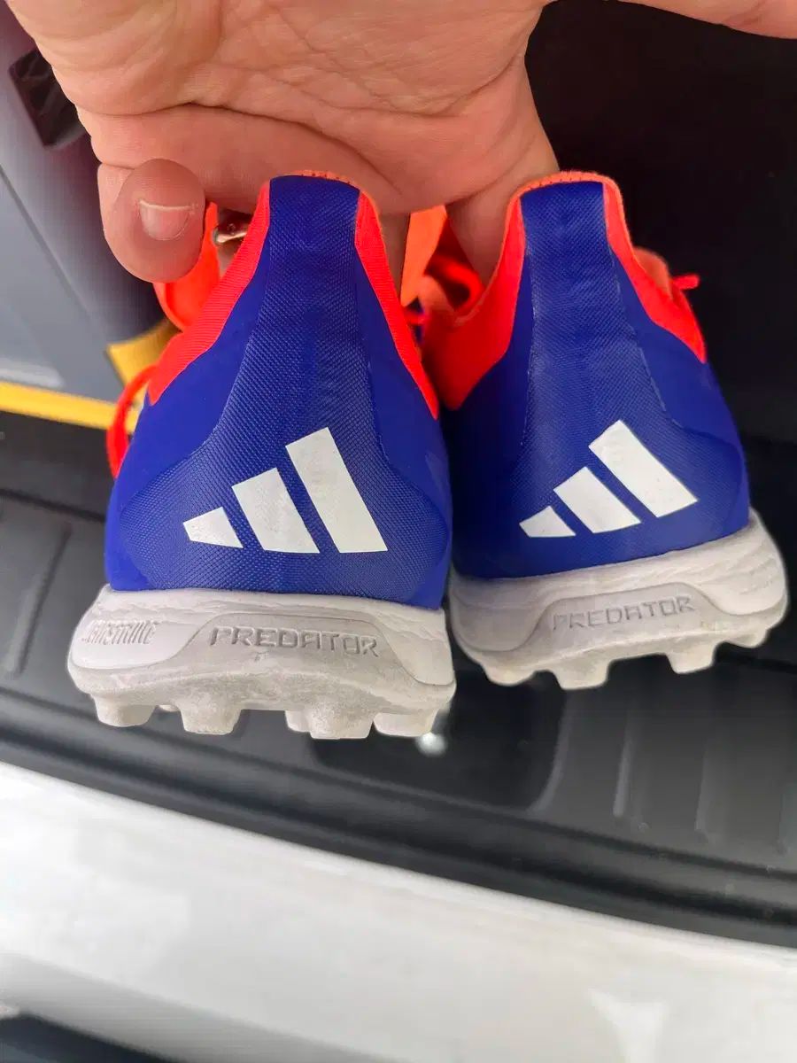 アディダス プレデター エリート TF 270mm LLC-HASEGAWATOSO_COM