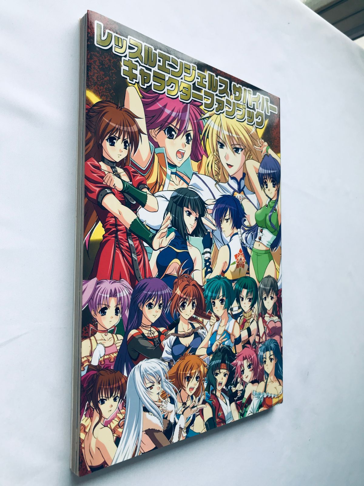 レッスルエンジェルスサバイバーキャラクターファンブック コンプリートガイドブック レッスルエンジェルス サバイバー ファンブックコンプリート