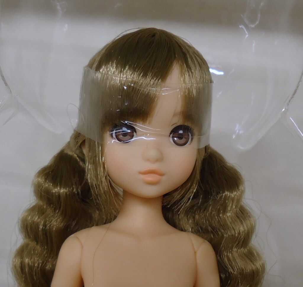 ペットワークス・ruruko・リボンのワンピース・元箱あり中古美品