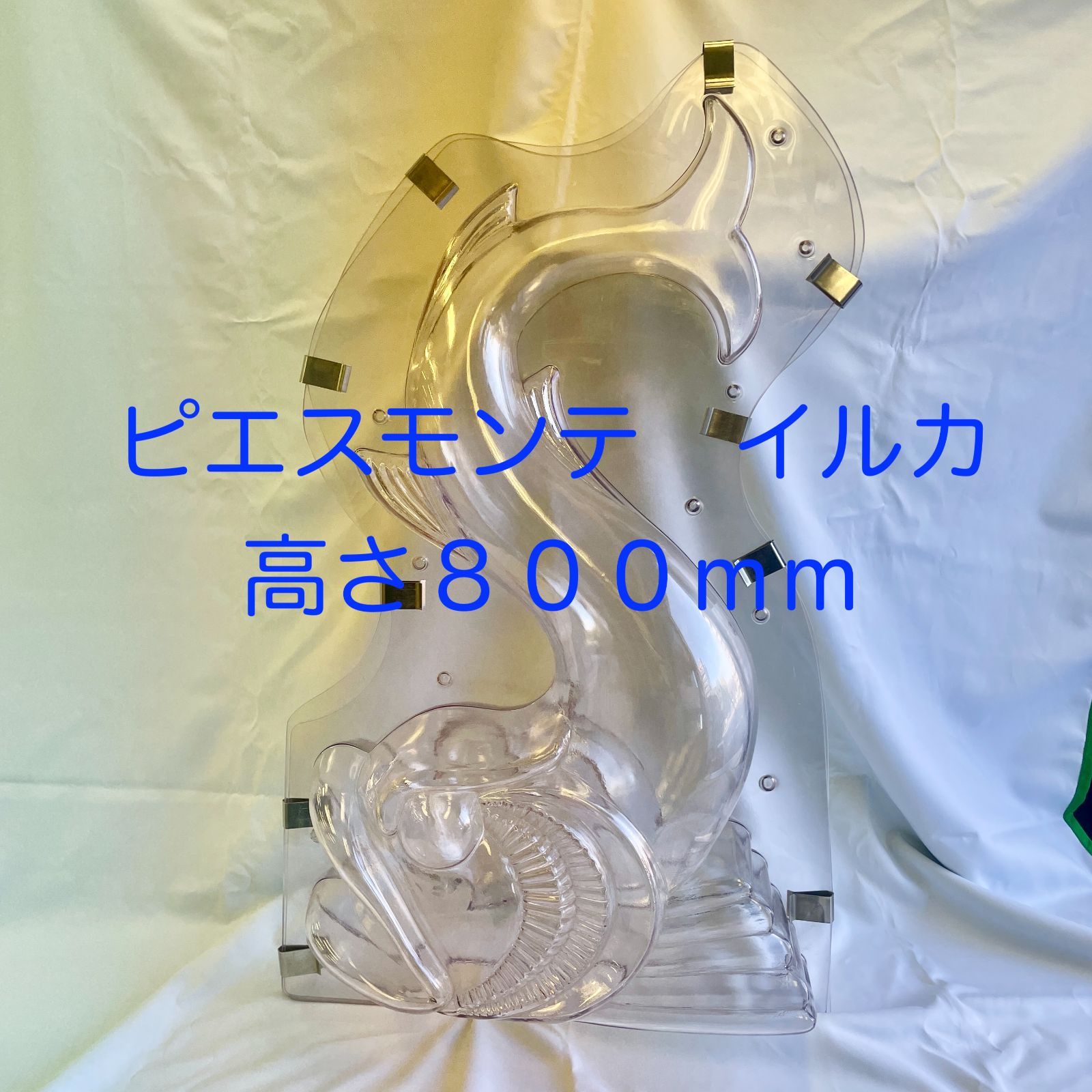 ピエスモンテ イルカ 高さ８００ｍｍ