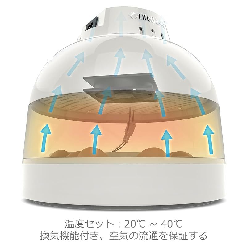 アヒル