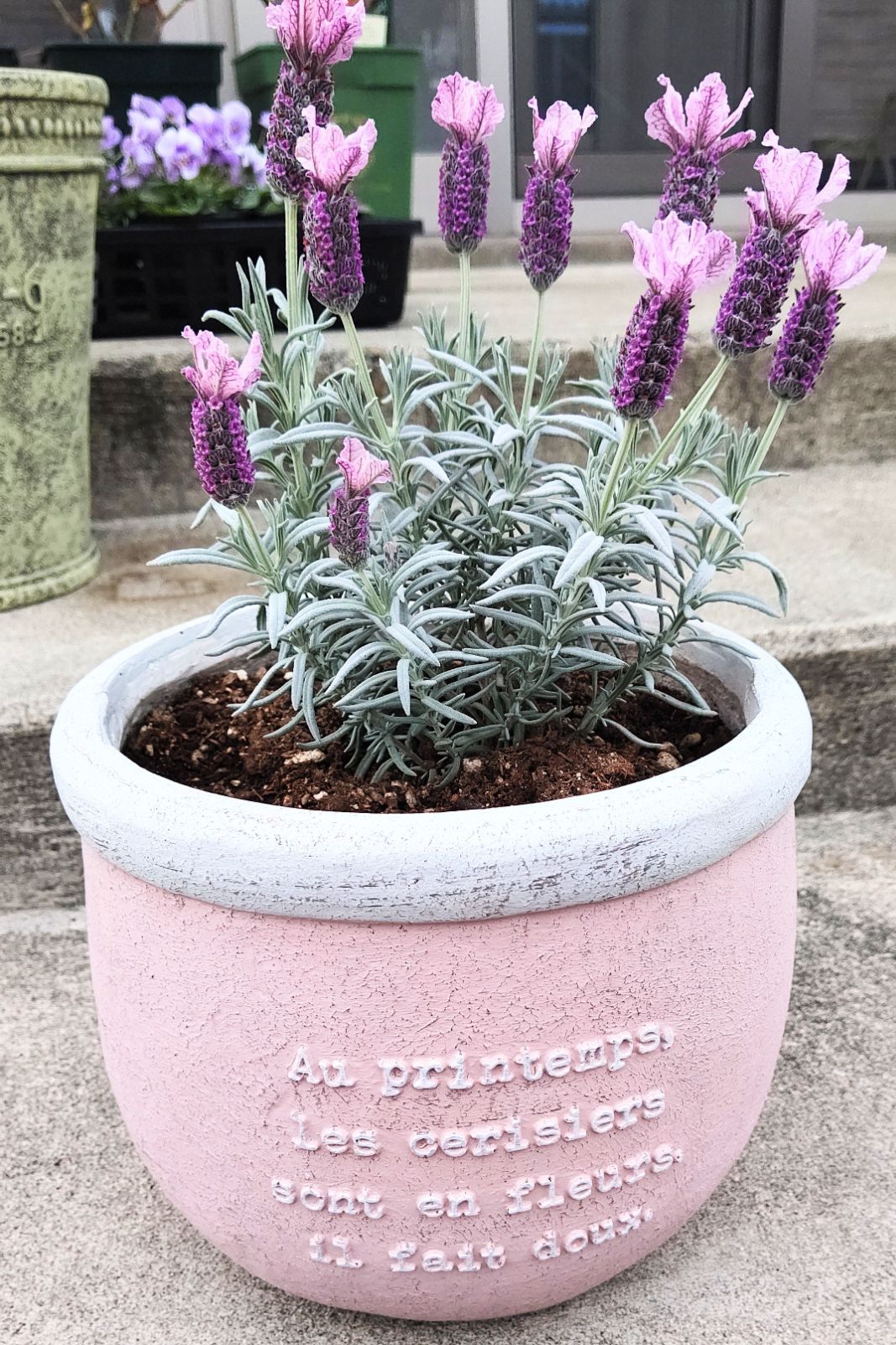 （まとめ）プラス イレーザーS ER-423542（×50セット） : プラス ホワイトボード イレーザー 中 ER-S-423542 423