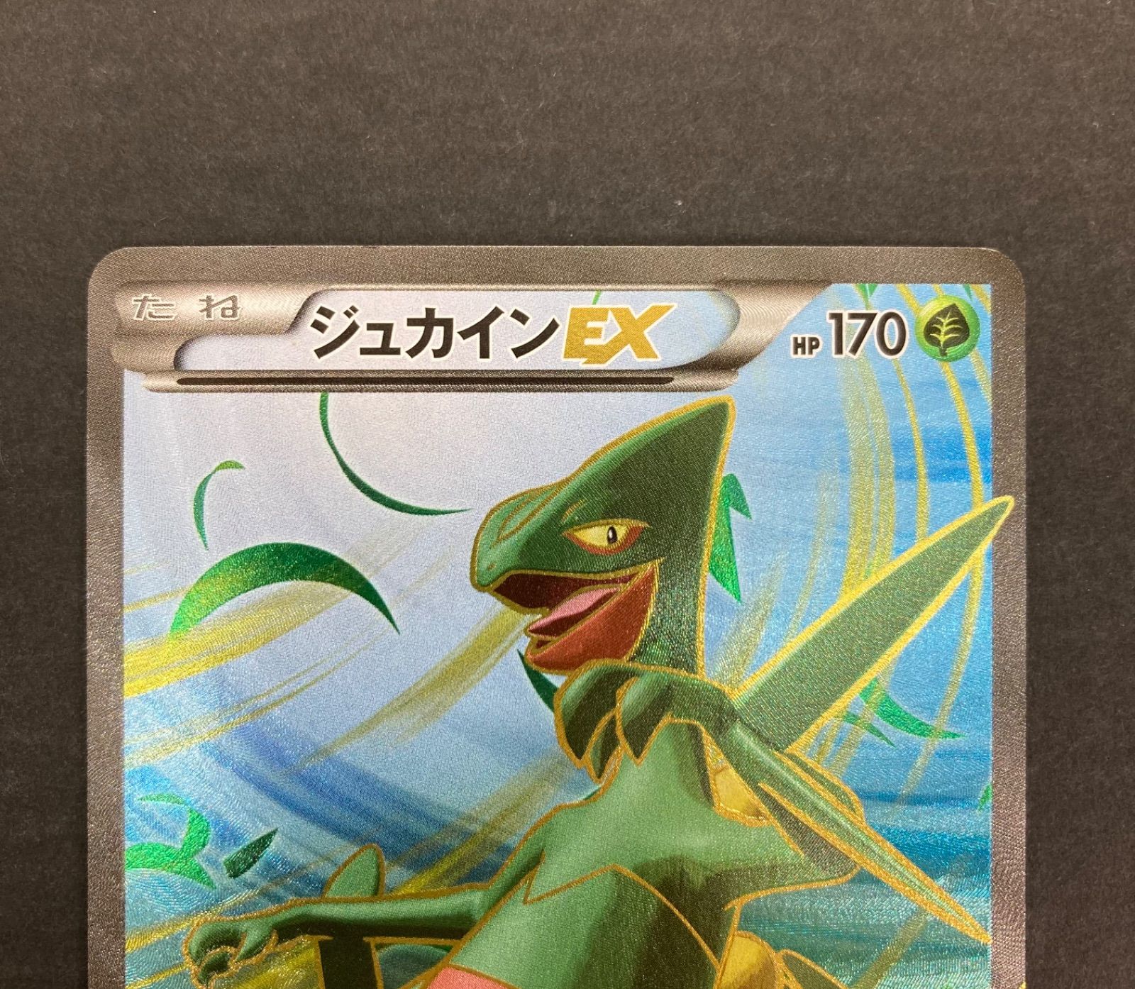 【広店】ポケモンカード ジュカインEX SR 082/081【362-666】