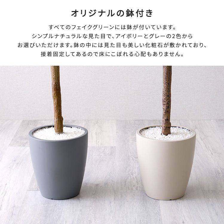 Lサイズ