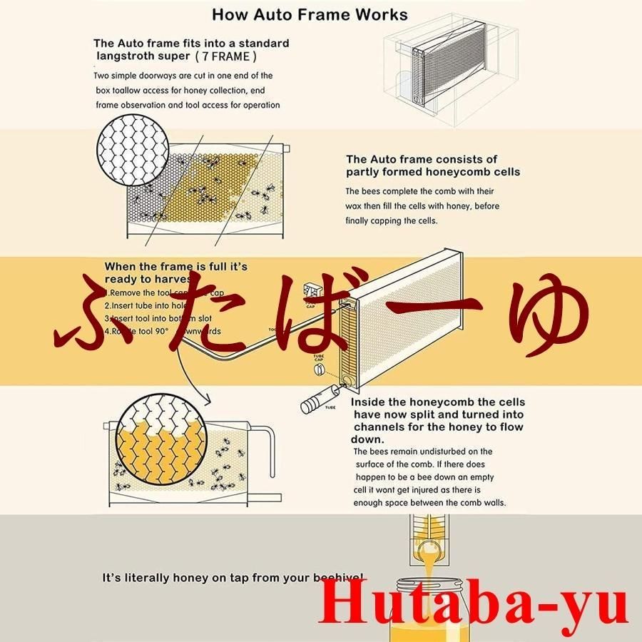 自流蜜蜂巣 採蜜器