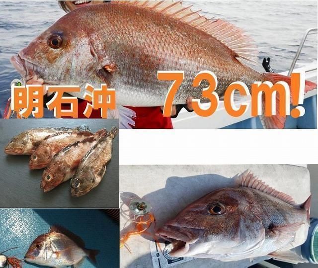 100g 120g 150g各1個】タイラバ 鯛ラバタングステン - メルカリ