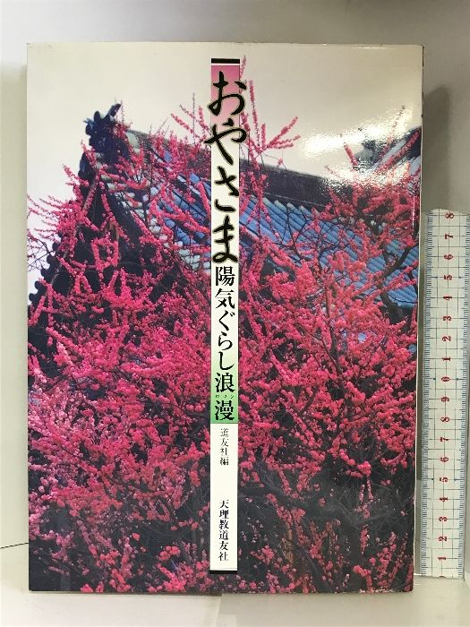 おやさま陽気ぐらし浪漫（上製）/天理教道友社/天理教道友社（単行本） おやさま陽気ぐらし浪漫 天理教道友社 道友社 - メルカリ