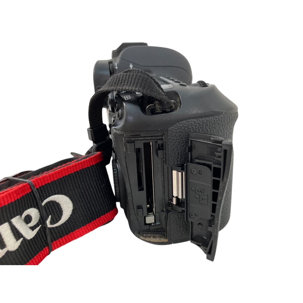 一眼レフ　Canon6D ネイチャースナップのすすめ｜旧モデルで始める一眼レフ
