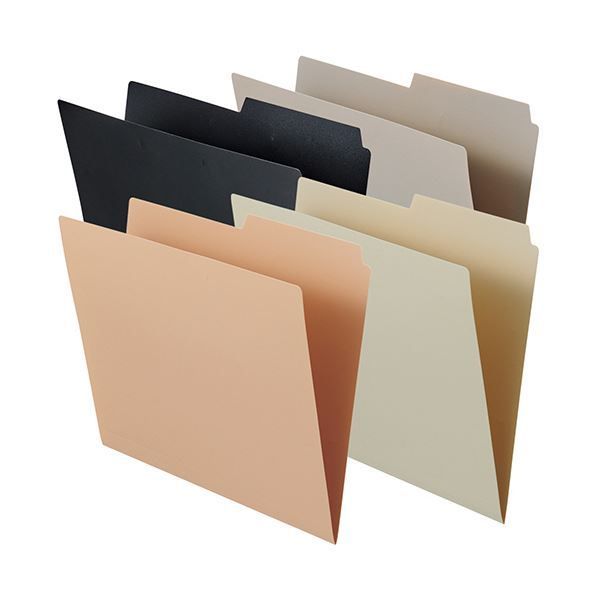 まとめ リヒトラブRoomy 個別フォルダー A4 ベージュ F-292-16 1冊 ×10セット WWW_SKLAD-KIRPICHA_RU