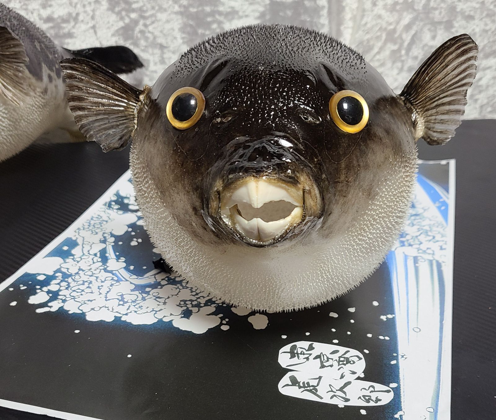 東京湾釣りふぐ提灯 河豚提灯 フグ提灯 - メルカリ