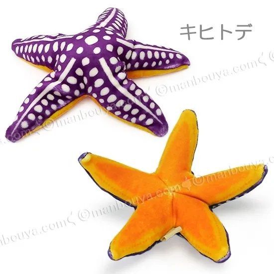 ①今だけプレゼント付き♥ヒトデぬいぐるみ☆ハンドメイド海ぬいぐるみ 星 水族館 ヒトデ ぬいぐるみ 水族館 おもちゃ 人形 ぽけぷに 海星