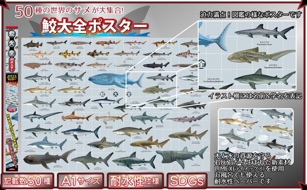 人気商品】ザ・アクセス ポスター 防水 鮫 サメ おふろポスター