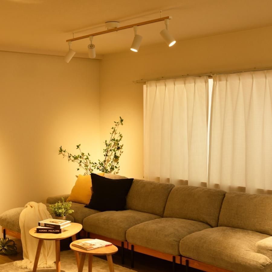 ライティングレール