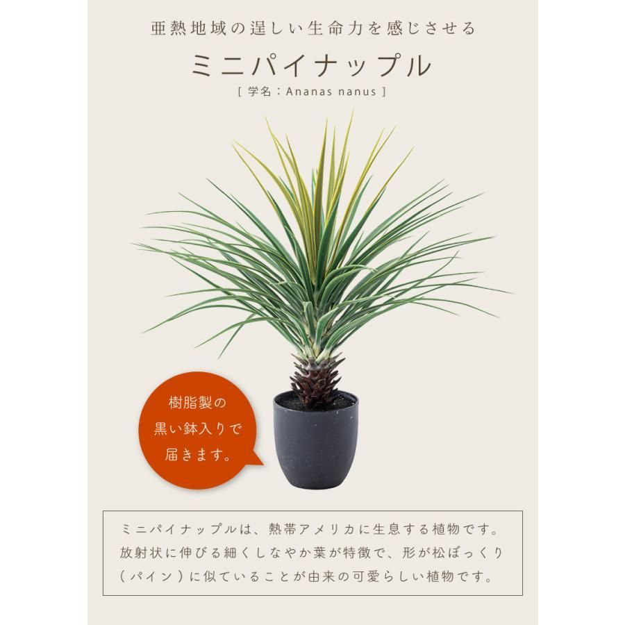 フェイクグリーン おしゃれ 人工 観葉植物 インテリア 造花 ミニパイナップル - メルカリ