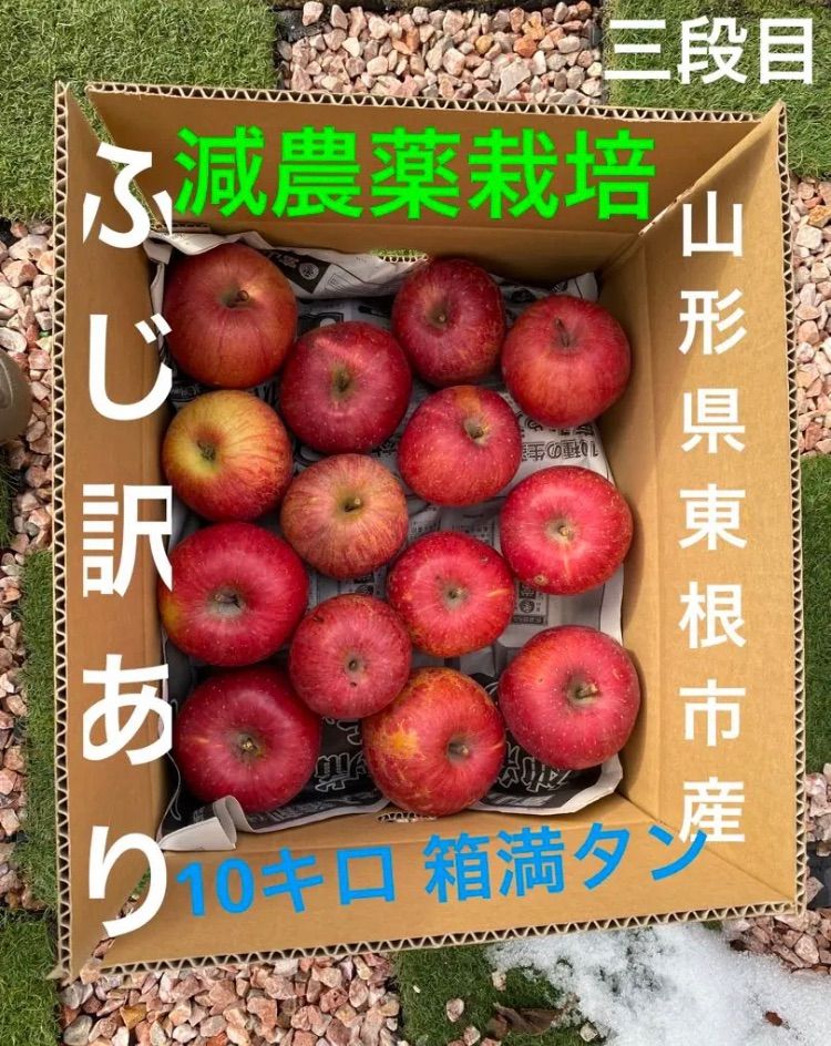 信州安曇野　摘果りんご（加工用）約20キロ　減農薬栽培・除草剤不使用④やや小さめ