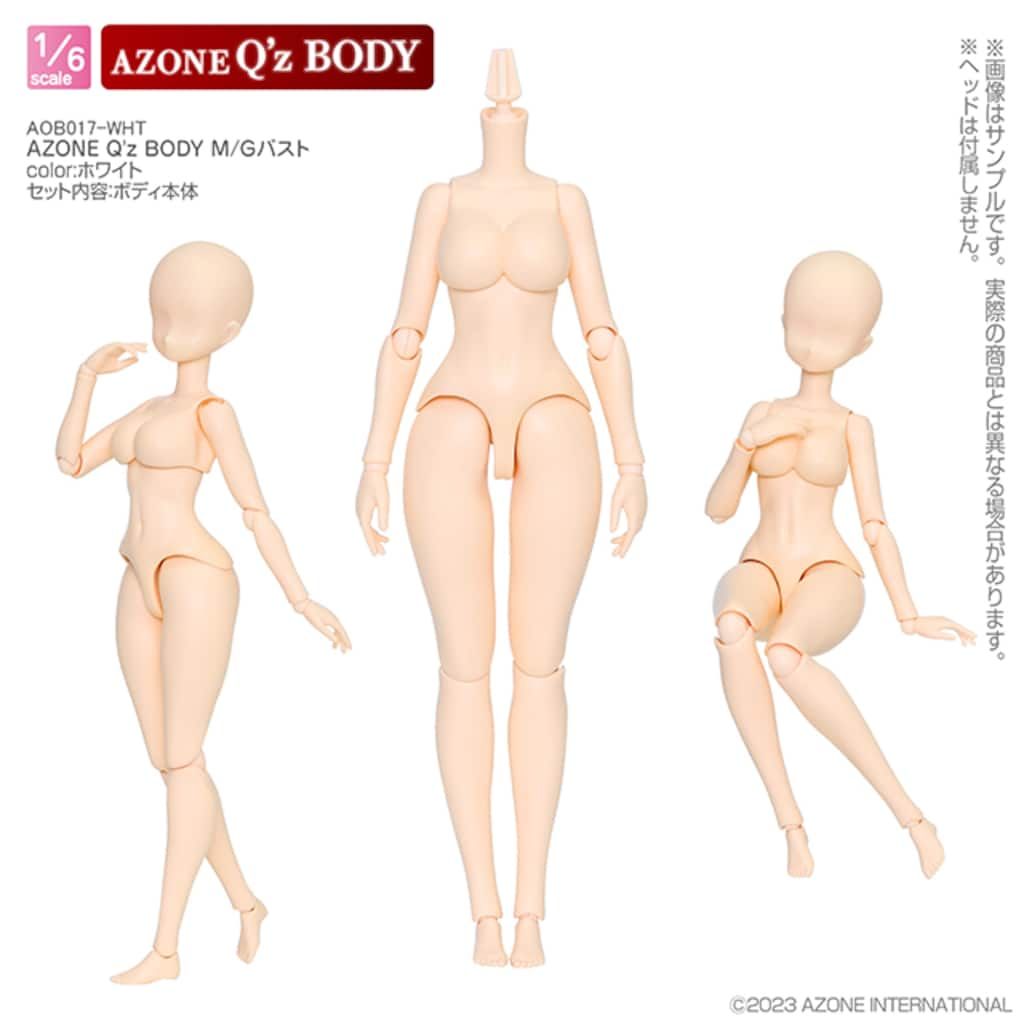新品 アゾン 1/6スケール AZONE Q'z BODY M/Gバスト