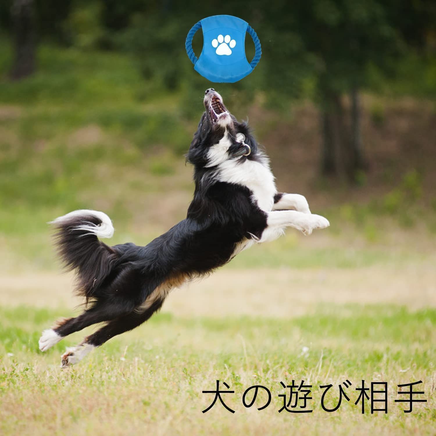 犬のフリスビー 犬のおもちゃ 投げるおもちゃ フリスビー 犬 Brotevity ソフトフリスビー スポーツディスク 犬のトレーニング  ストレス解消ツール (blue) - メルカリ