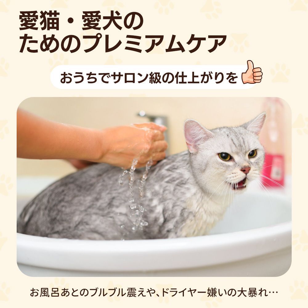 ハウス