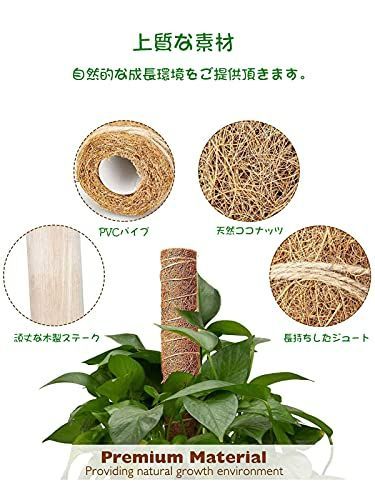 正規逆輸入品 新品 未使用 新品 園芸 支柱 植物支柱 ヘゴ支柱 Jaone 植物サポート モンステラ つる 2 植物 観葉植物 Asiatech Co Id Asiatech Co Id