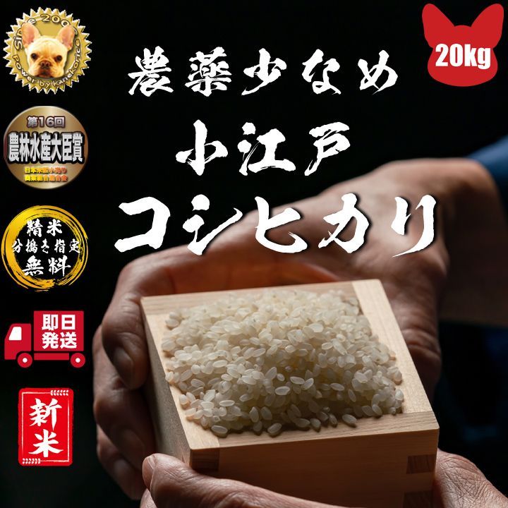 農薬少なめで安心 令和4年穫れたて 埼玉県川越産 小江戸 コシヒカリ