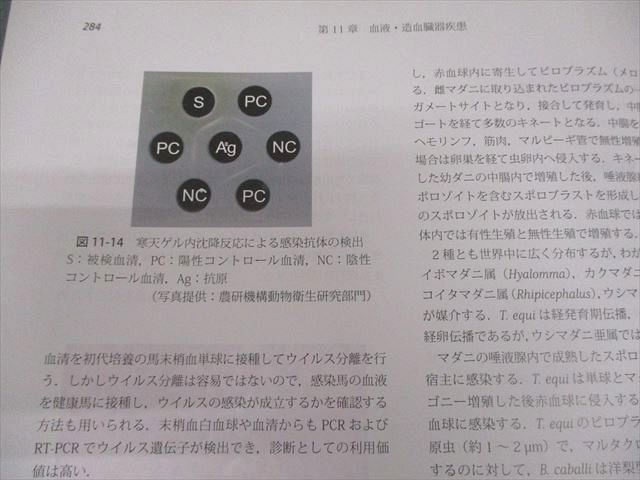 文永堂出版 獣医内科学 第3版 産業動物編 2022 024M3D - メルカリ