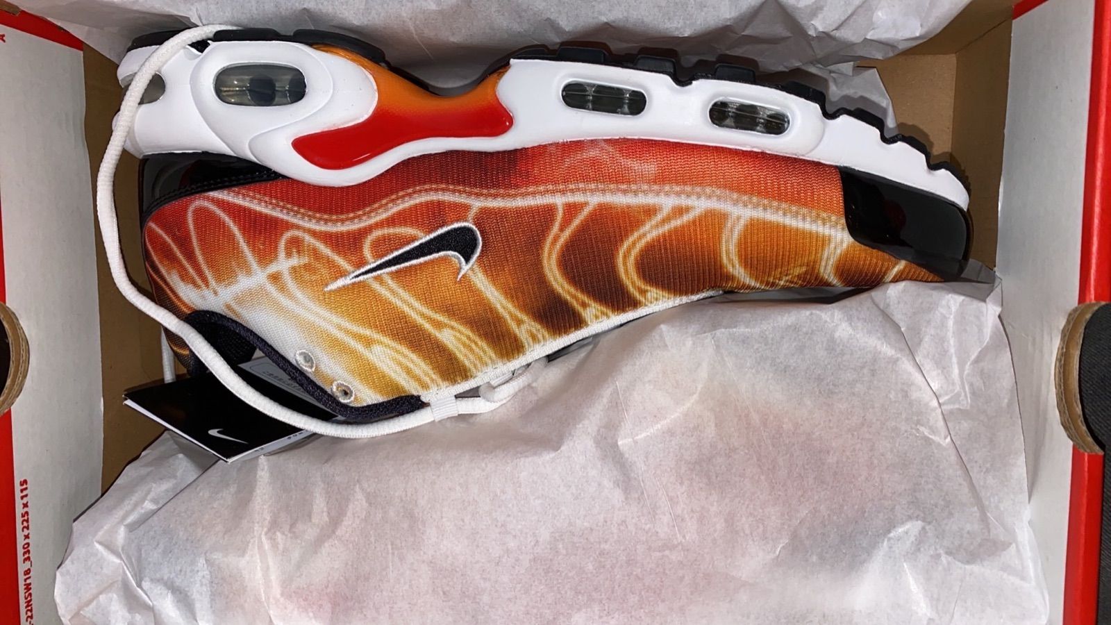 Nike Air Max Plus 