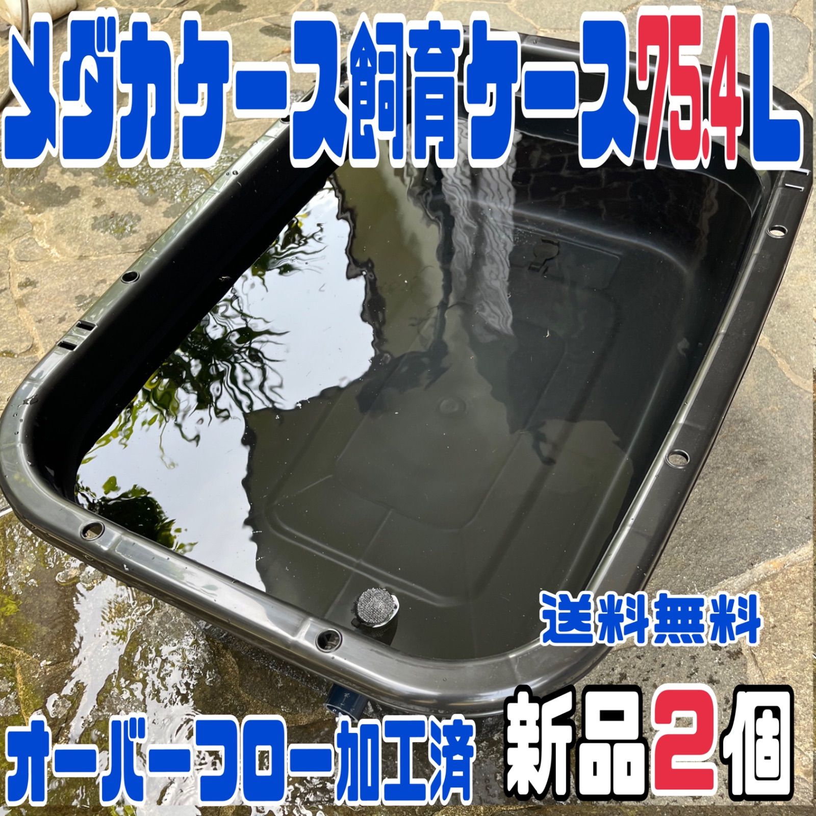 ☆メダカ飼育ケース2個 黒75.4L オーバーフロー加工済☆めだか容器