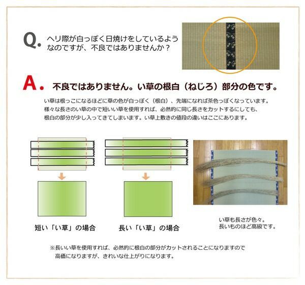 ラグマット 抗菌