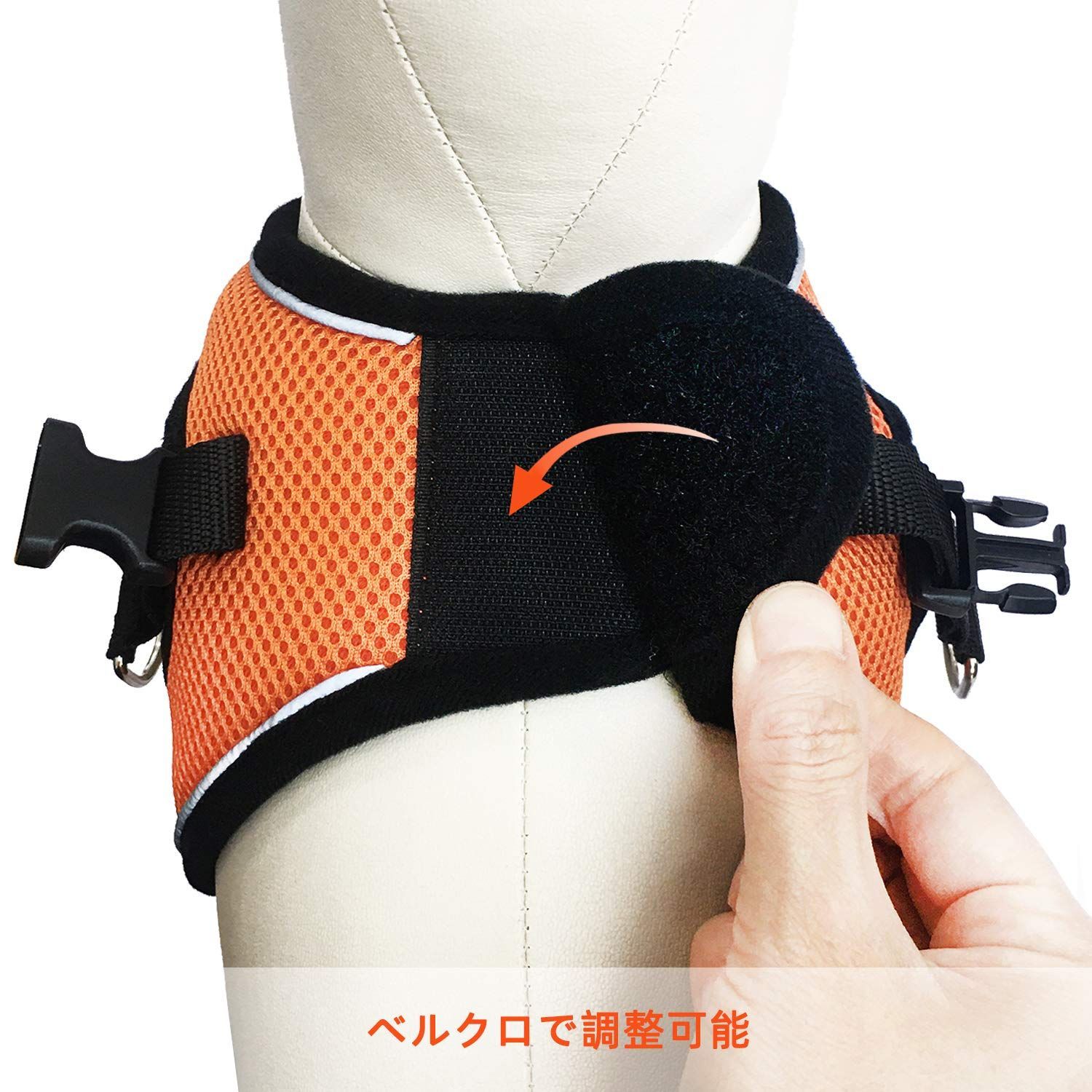ソフト 小型犬