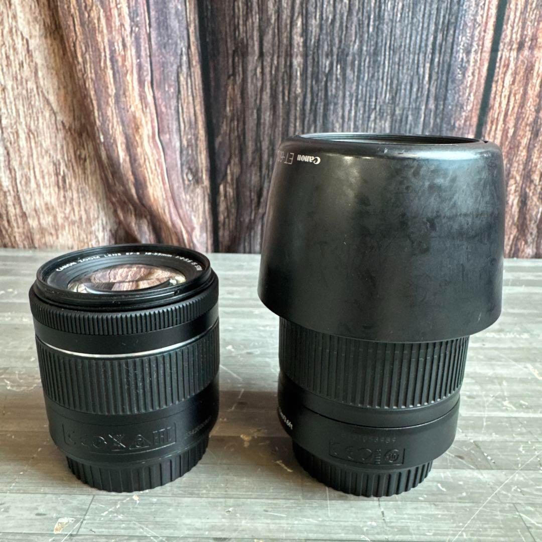 Canon EF S 55 250 mm ズームレンズ 18