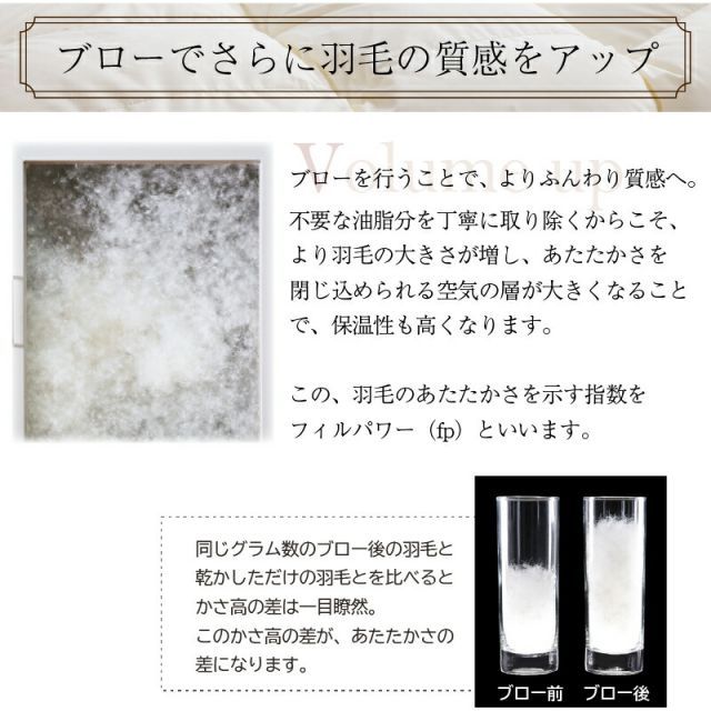 羽毛布団 羽毛布団 キング 羽毛 布団 日本製 防ダニ 国産 国内洗浄 春用 夏用 秋用 薄手 快適 羽毛ふとん ダウンケット夏布団 肌掛け布団 掛け布団 掛布団 抗菌 三ツ星ニューゴールドラベル フィルパ シングル 羽毛 羽毛布団 キング 羽毛 布団 日本製 防ダニ