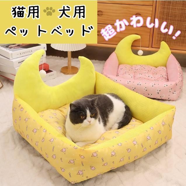 Wasted Youth ブラックラグ WY25GD007 F