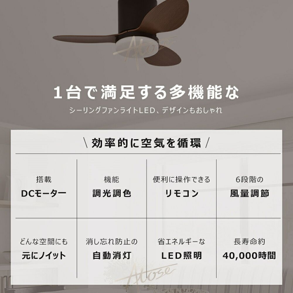 12畳 おしゃれ