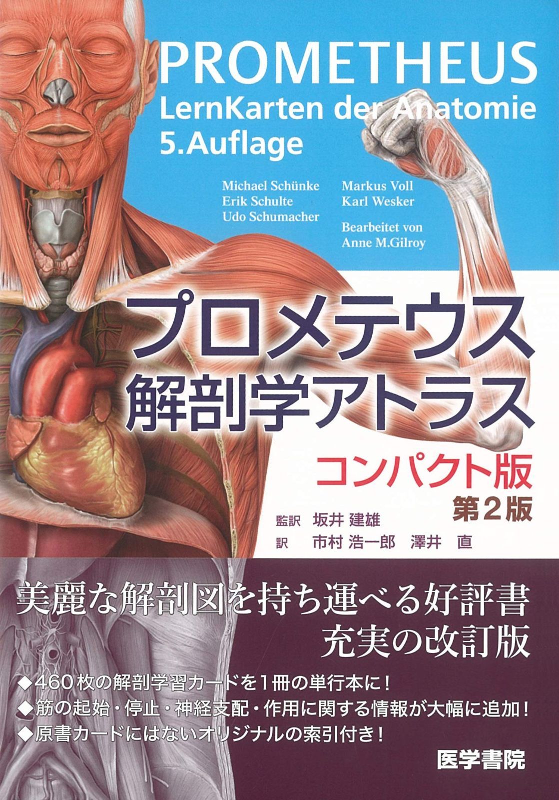 人気，新品 プロメテウス解剖学アトラス コンパクト版 第2版 その他