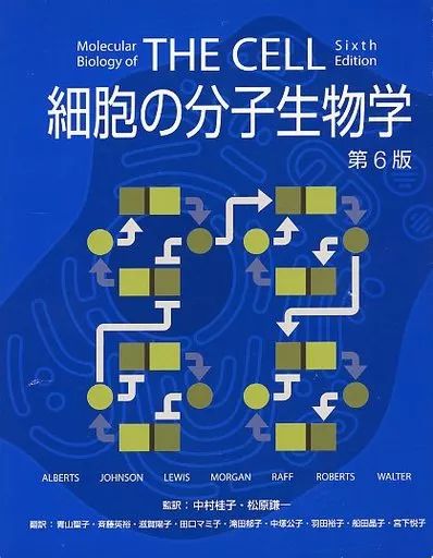 単行本 実用 ≪生物科学 一般生物学≫ ケース付 細胞の分子生物学 第6版