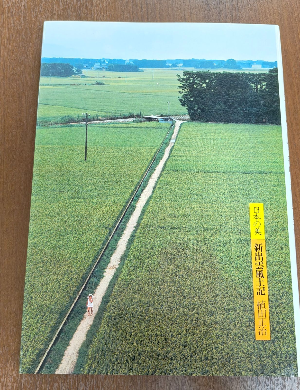 昭和55年刊 初版 日本の美 新出雲風土記 植田正治 現代日本写真全集 5