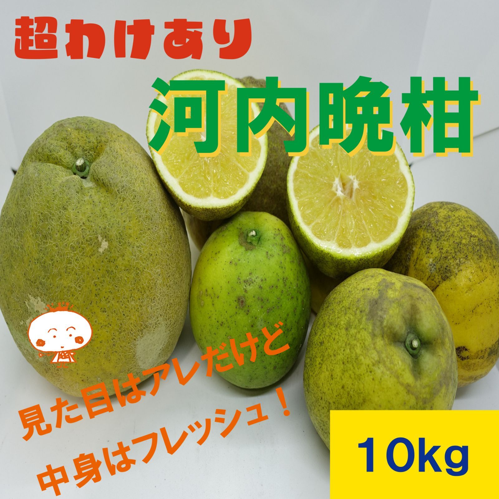 【特に訳あり】　超訳あり　河内晩柑　みしょうゴールド　１0ｋｇ　※東北地方の方は、必ず注文する前に説明文を読んでいただきご理解されてからの購入をお願いいたします。