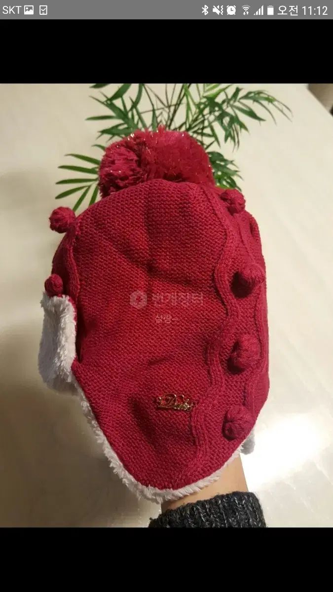 ダックス